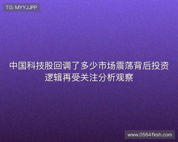 中国科技股回调了多少市场震荡背后投资逻辑再受关注分析观察